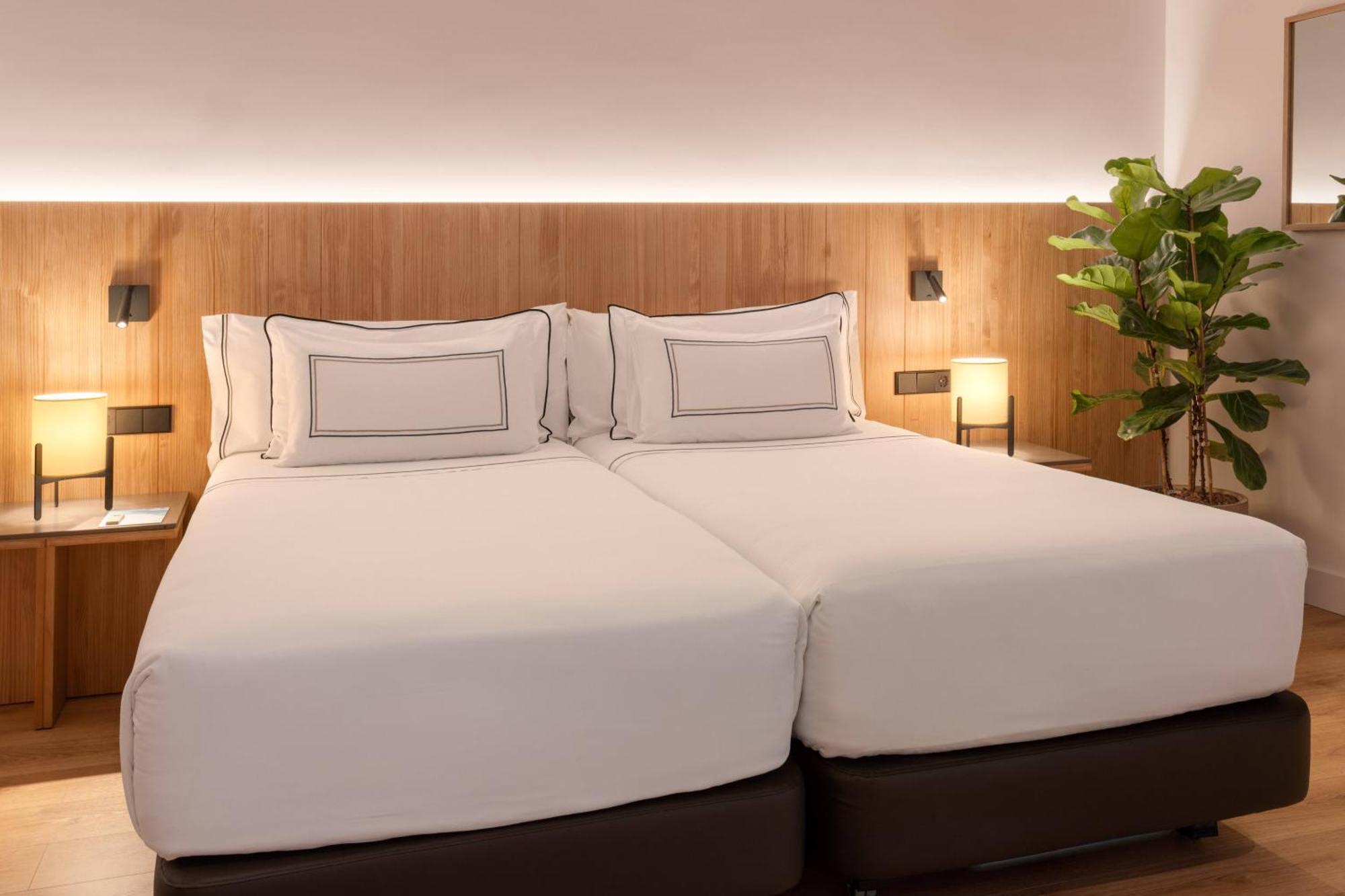 Junior Suite The Level