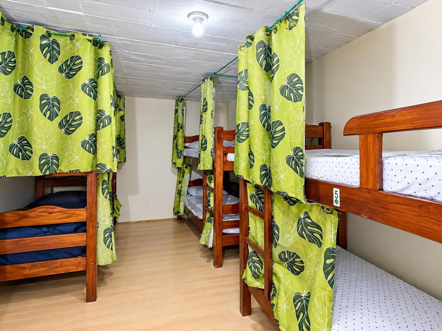 Bunk Bed Mixed Dormitory Room