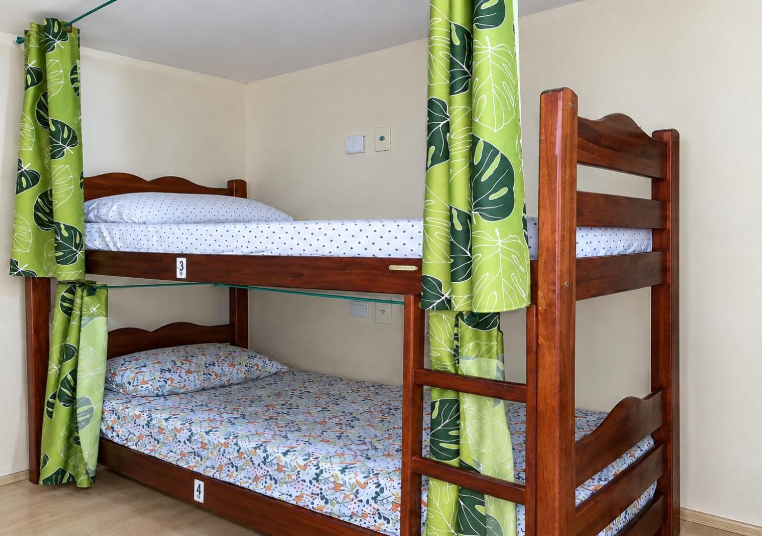 Bunk Bed Mixed Dormitory Room