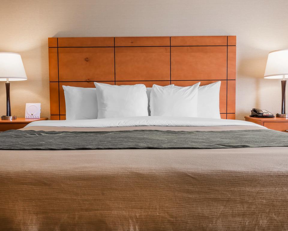 Deluxe King Room Sofa Bed Non-Smoking