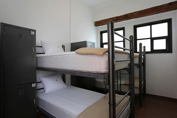 Bed 4-Bed Mixed Dormitory Room