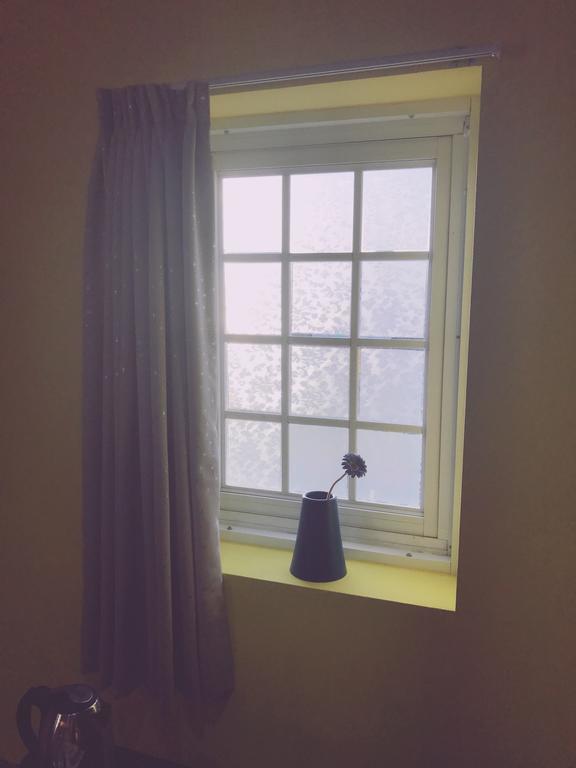 Winter Green King Room City View