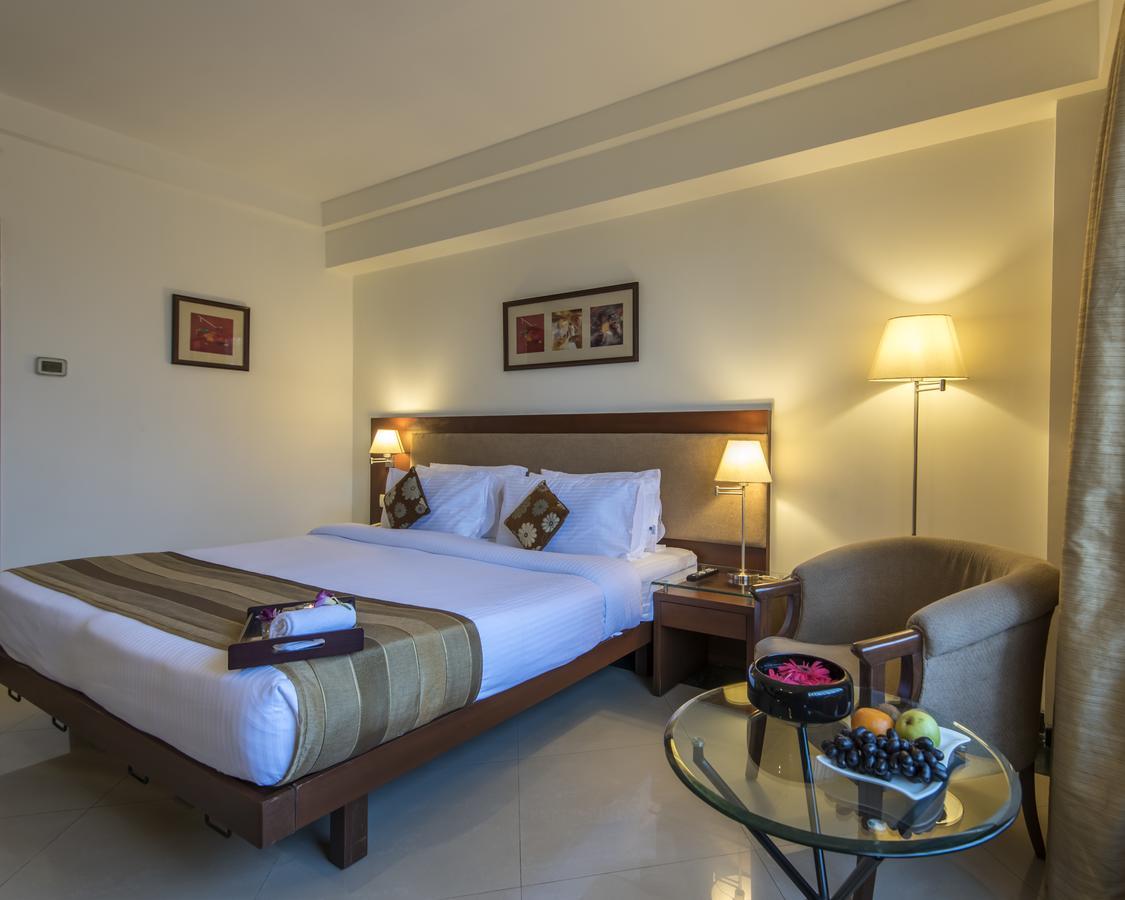 Deluxe Double or Twin Bed