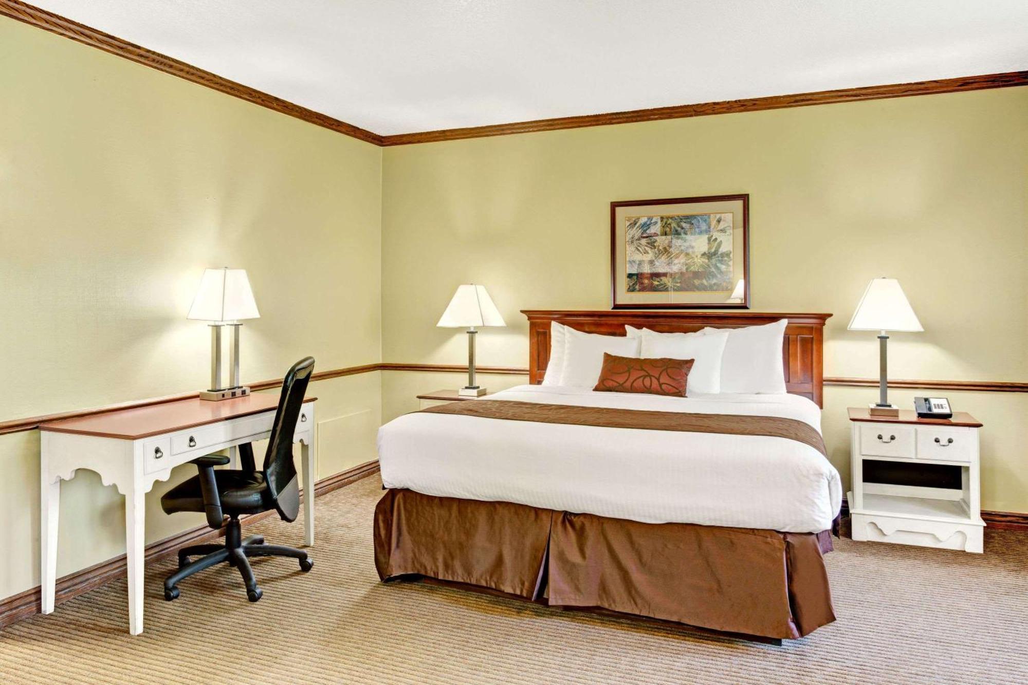 King Room Pet Friendly or Non-Smoking