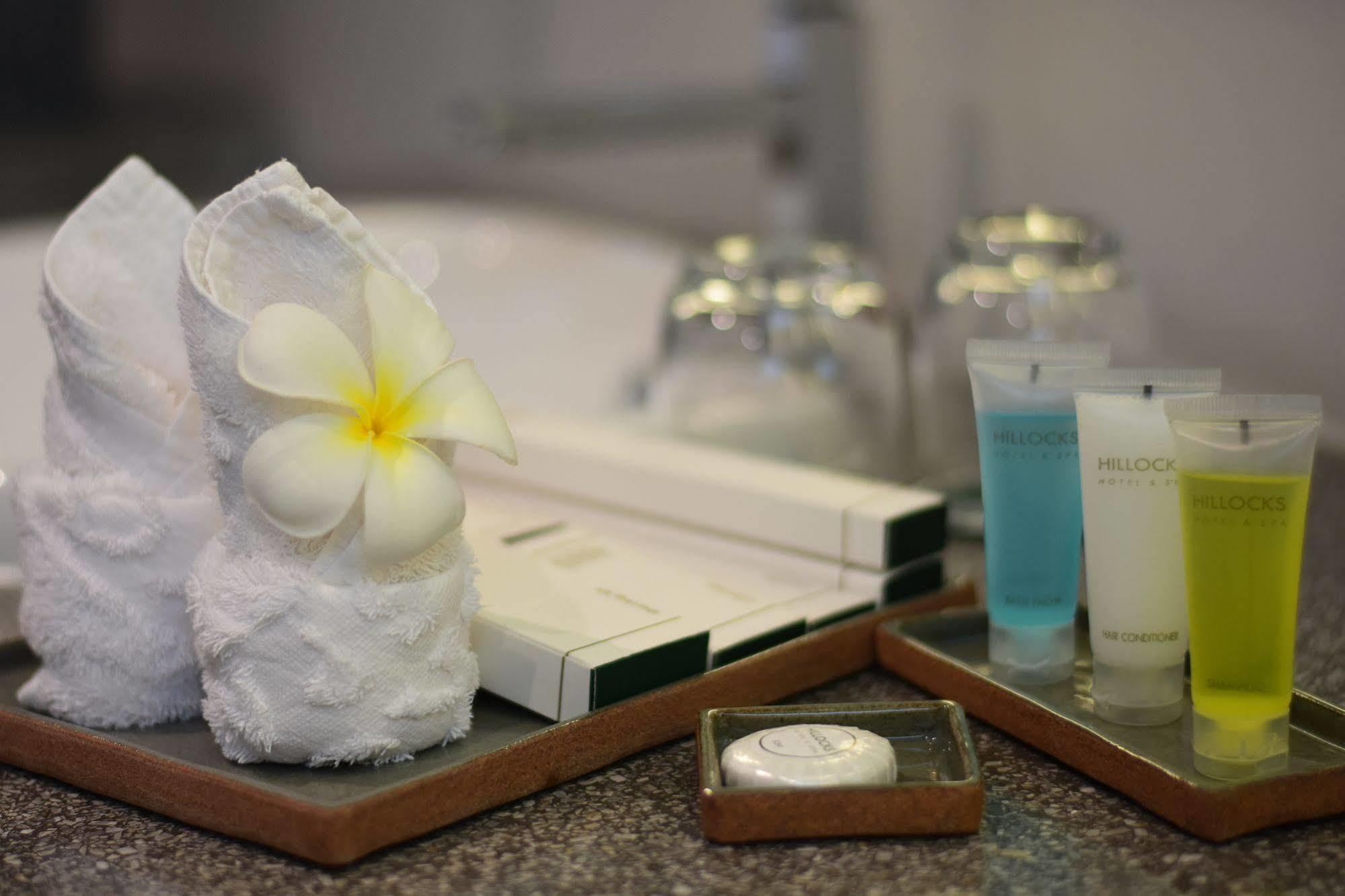 Deluxe Suite King Spa