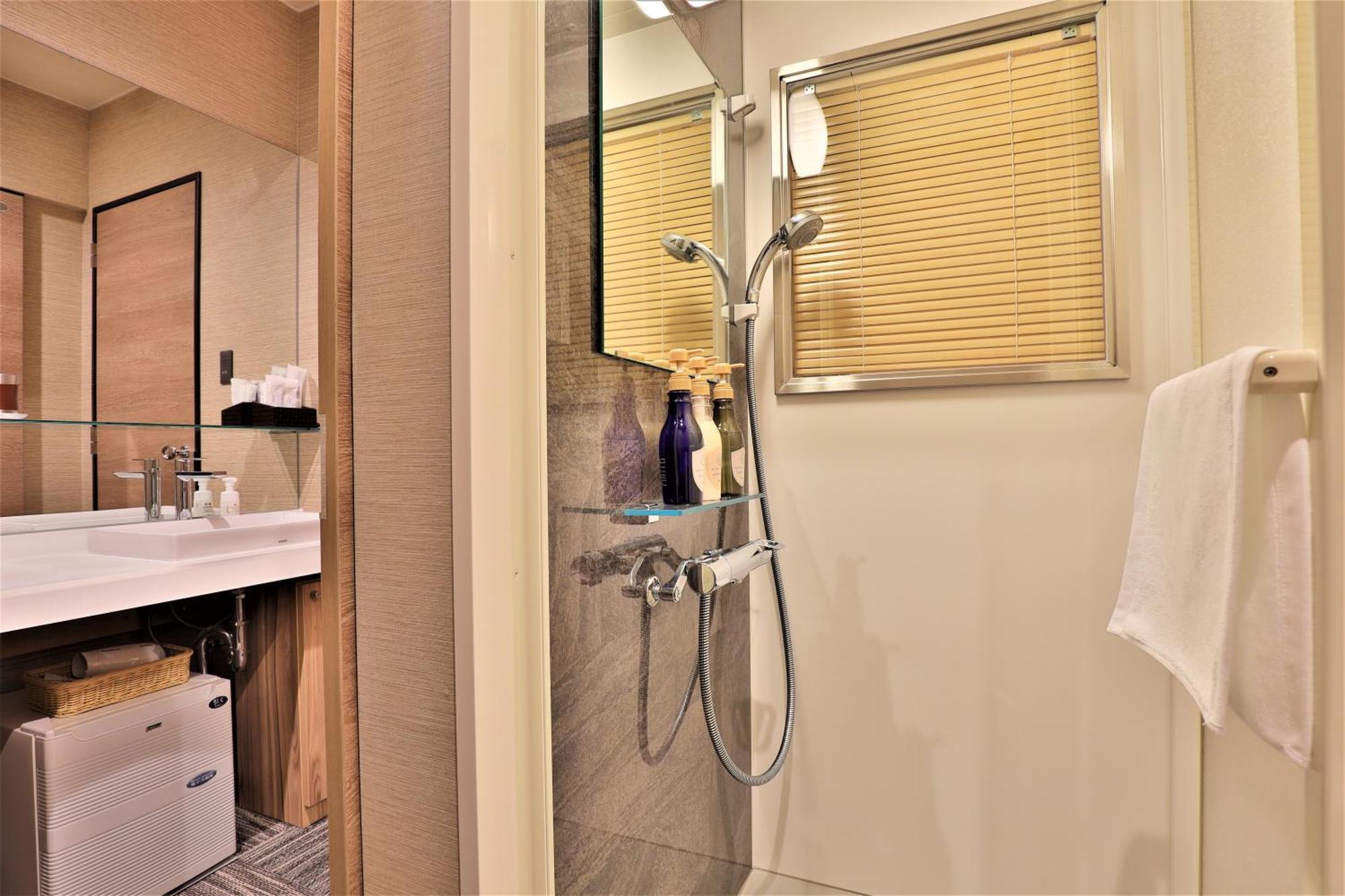 Standard Double Room Shower Non-Smoking