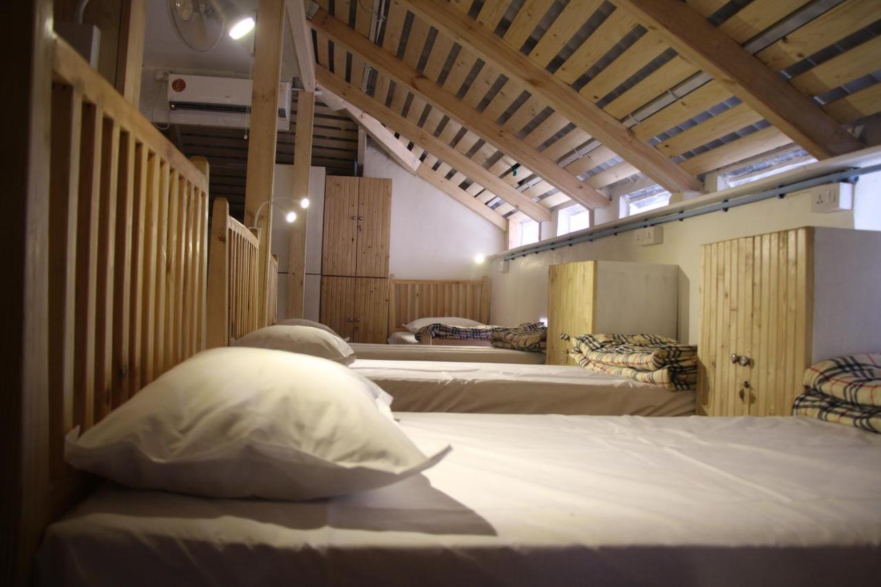 Bunk Bed Mixed Dormitory Room