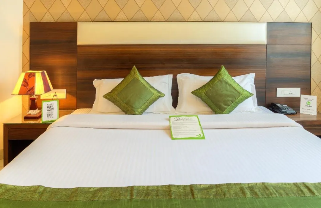 Hotel Dreamland Chandigarh-1