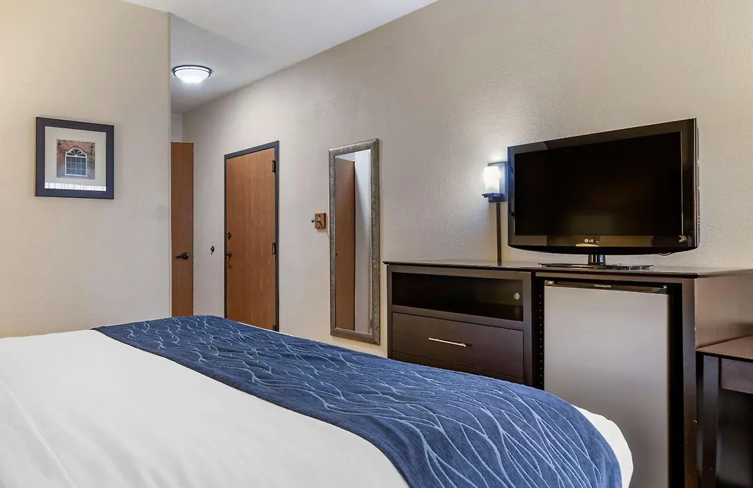 Comfort Inn Wings Stadium-1
