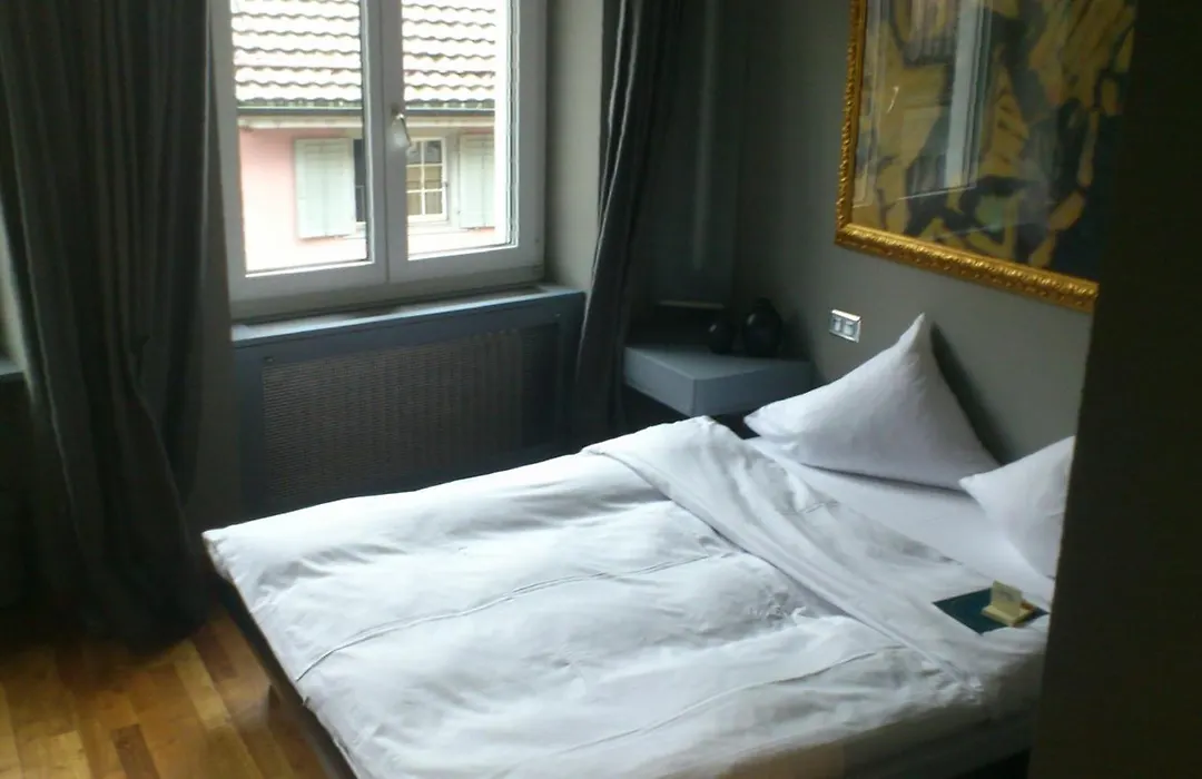 Hotel Limmatblick-1