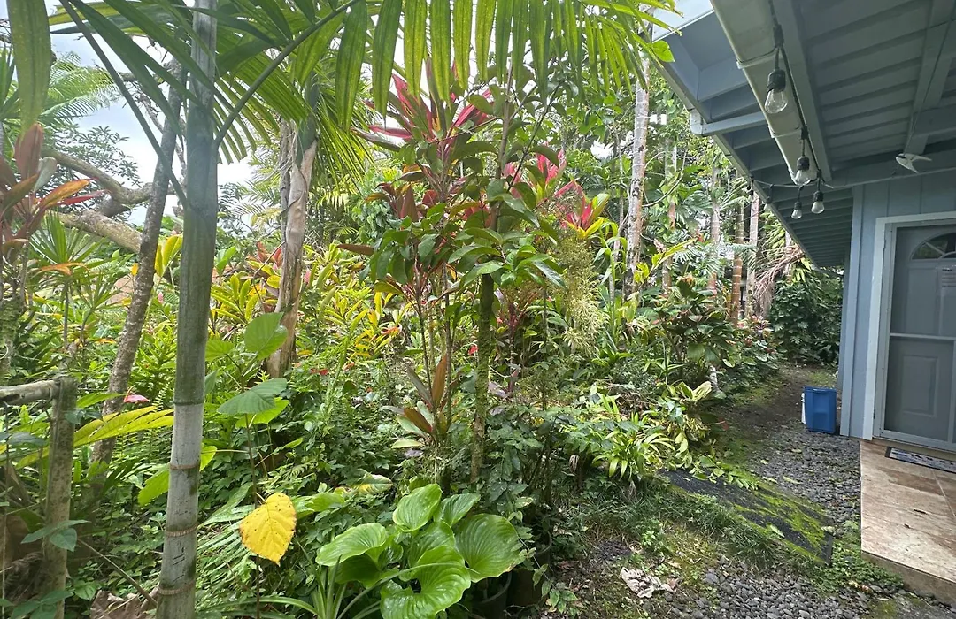 Hawaiian Ohana Home-1