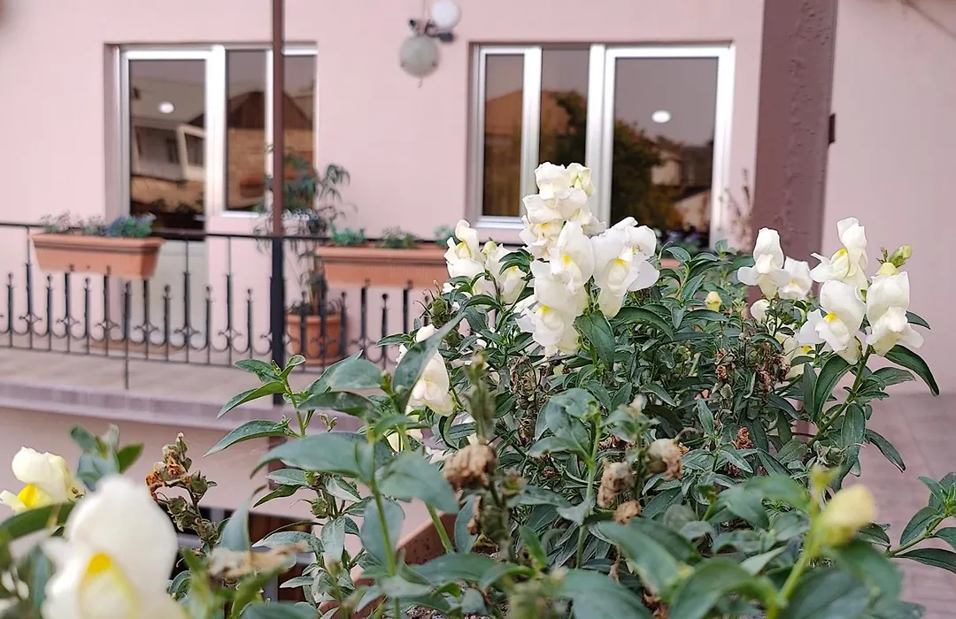 Areg Hotel-1