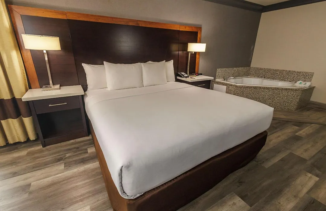 Comfort Inn & Suites Near Universal - N Hollywood - Burbank-1