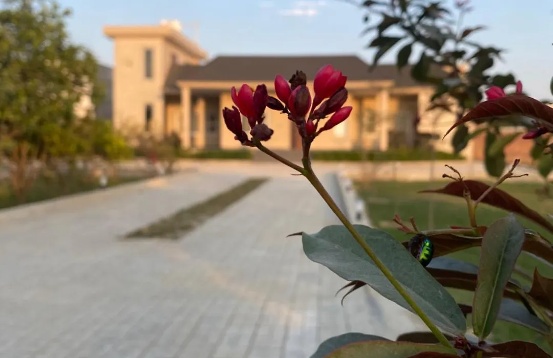 Haven Farmstays-1