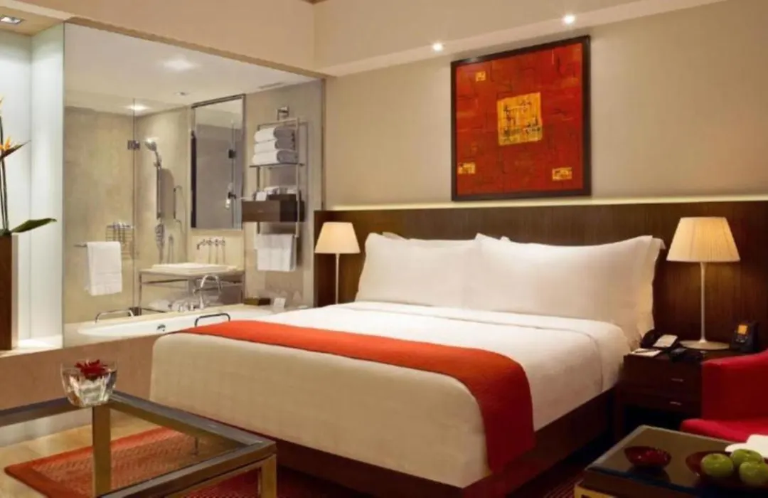 Hotel Seven Inn Near Delhi Airport-1