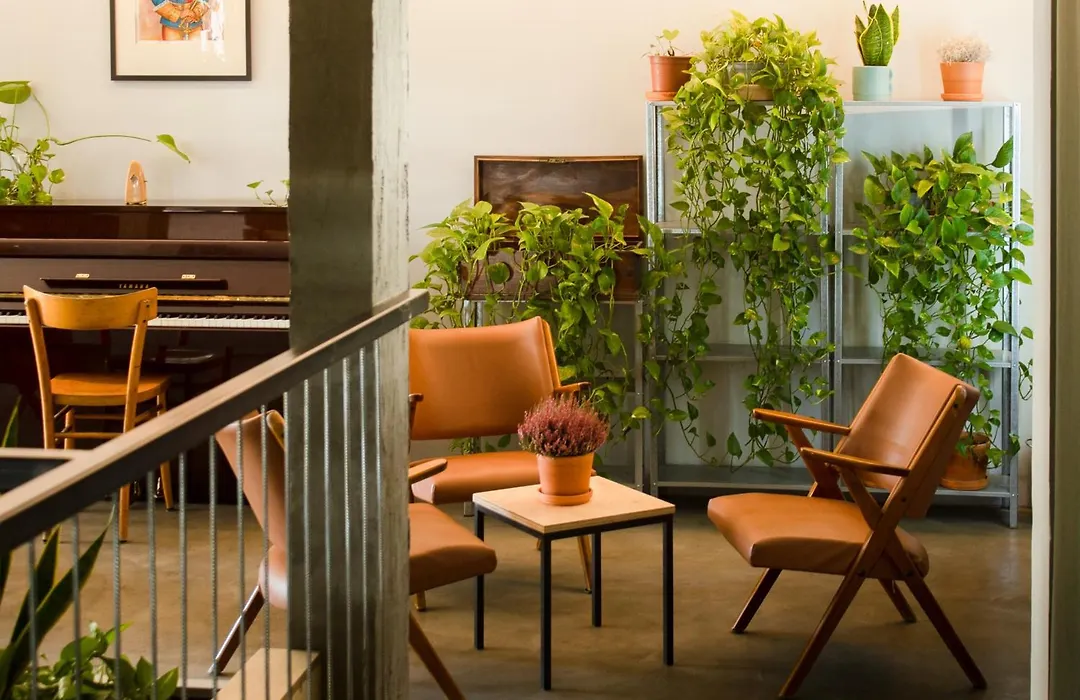 'Re-Dama Hostel-1