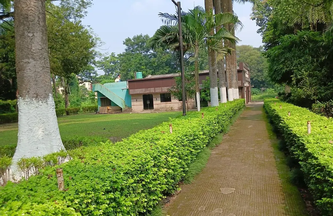 Scout Garden-1