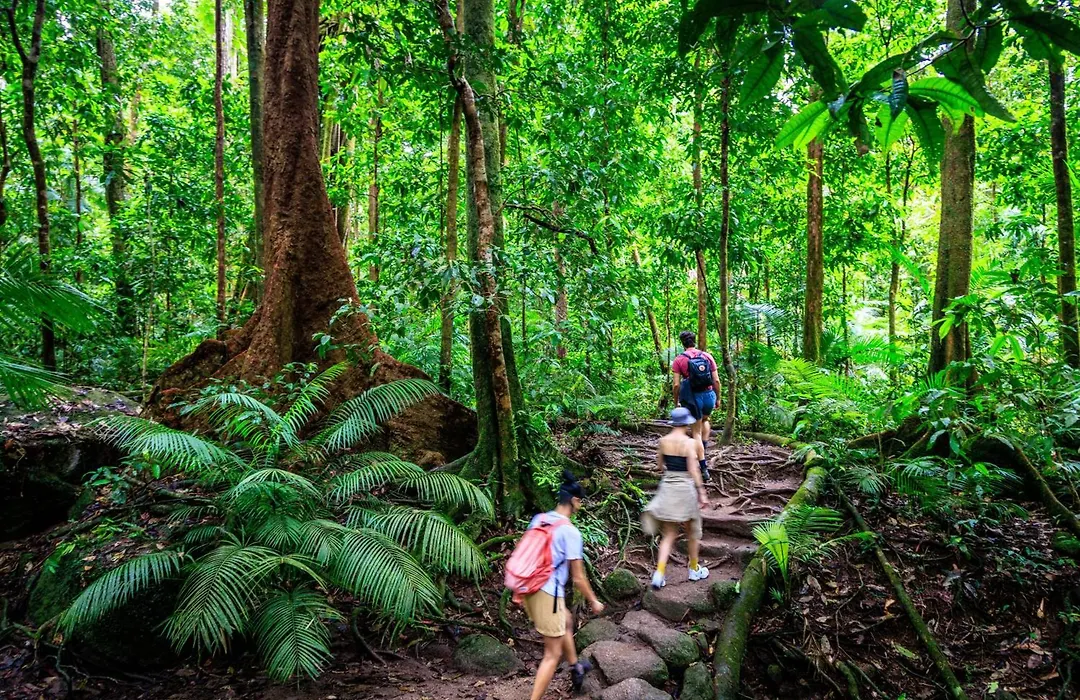 Yha Cairns Central-1