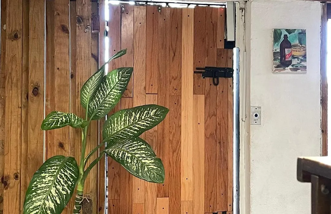 Ragamuffin Hostel-1