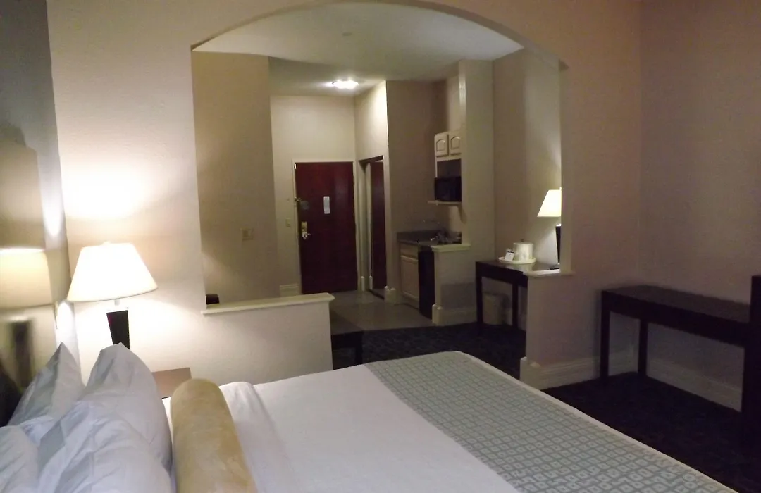 Best Western Plus Kalamazoo Suites-1