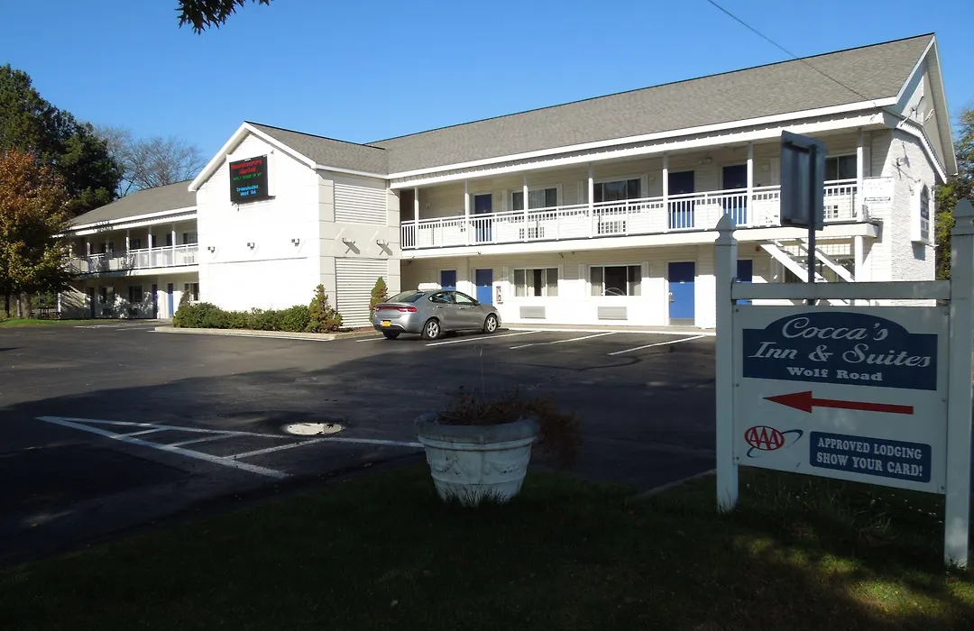 Super 8 By Wyndham Albany-1