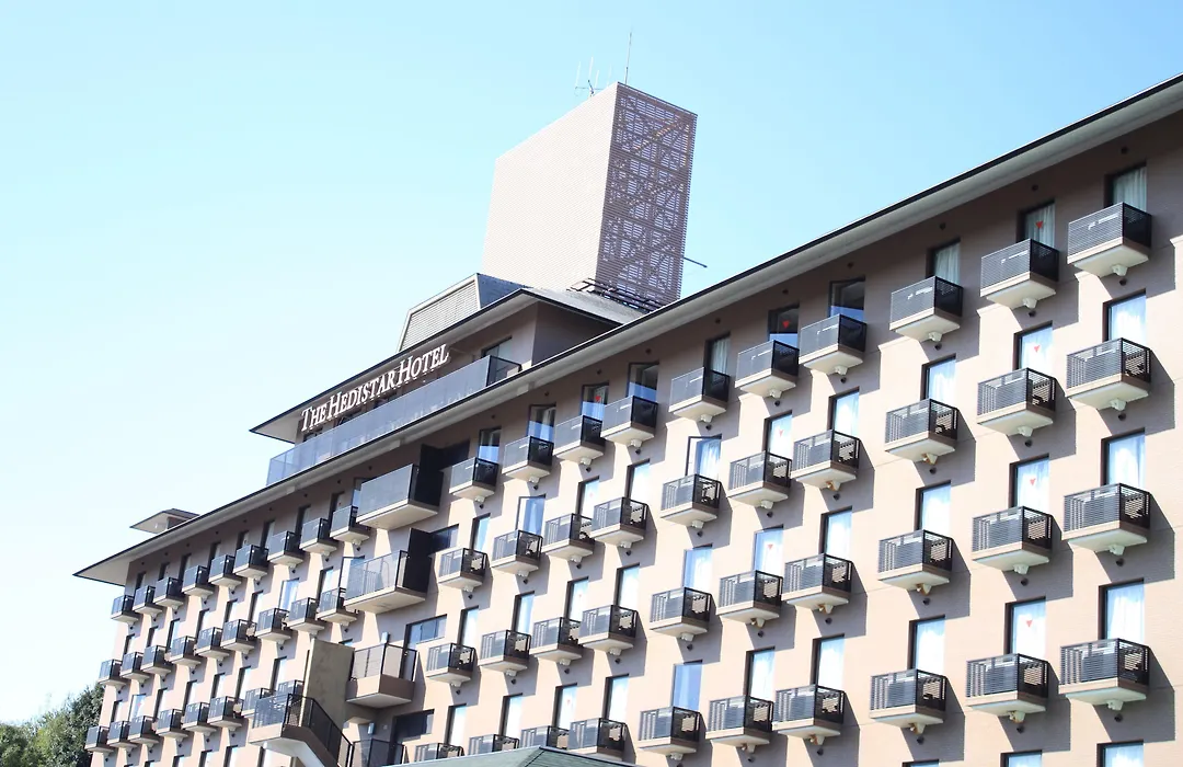 The Hedistar Hotel Narita-1