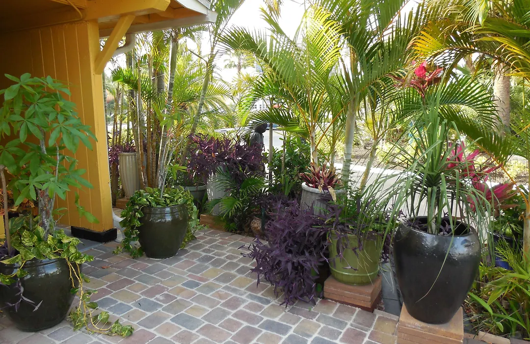 Budget Inn Punta Gorda-1