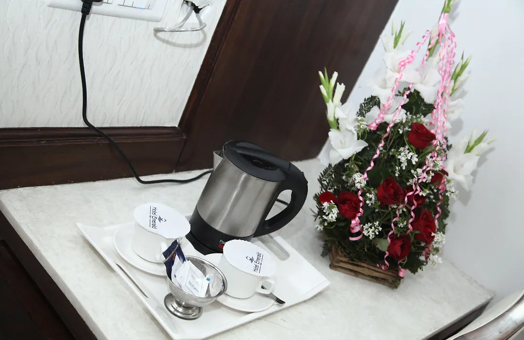 Hotel Emerald-1