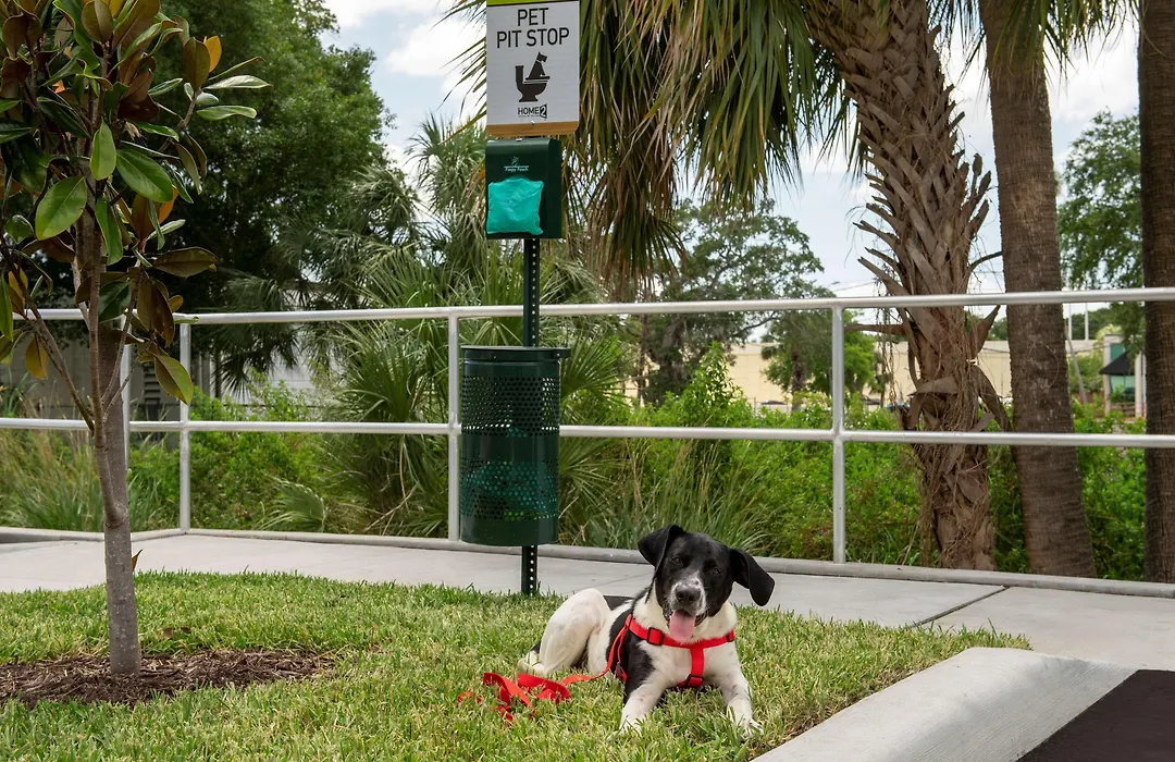 Home2 Suites By Hilton Tampa Westshore Airport, Fl-1