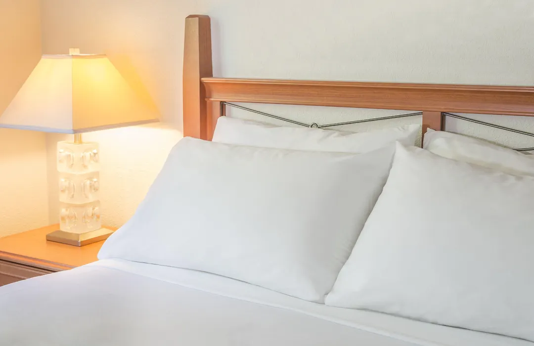 Robin Hood Inn And Suites-1