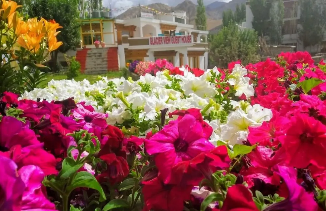 Glacier View Guest House-1