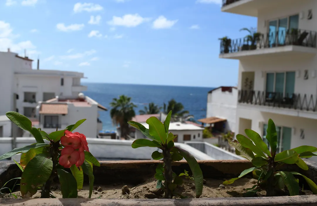 Petit Hotel Pilitas (Adults Only)-1
