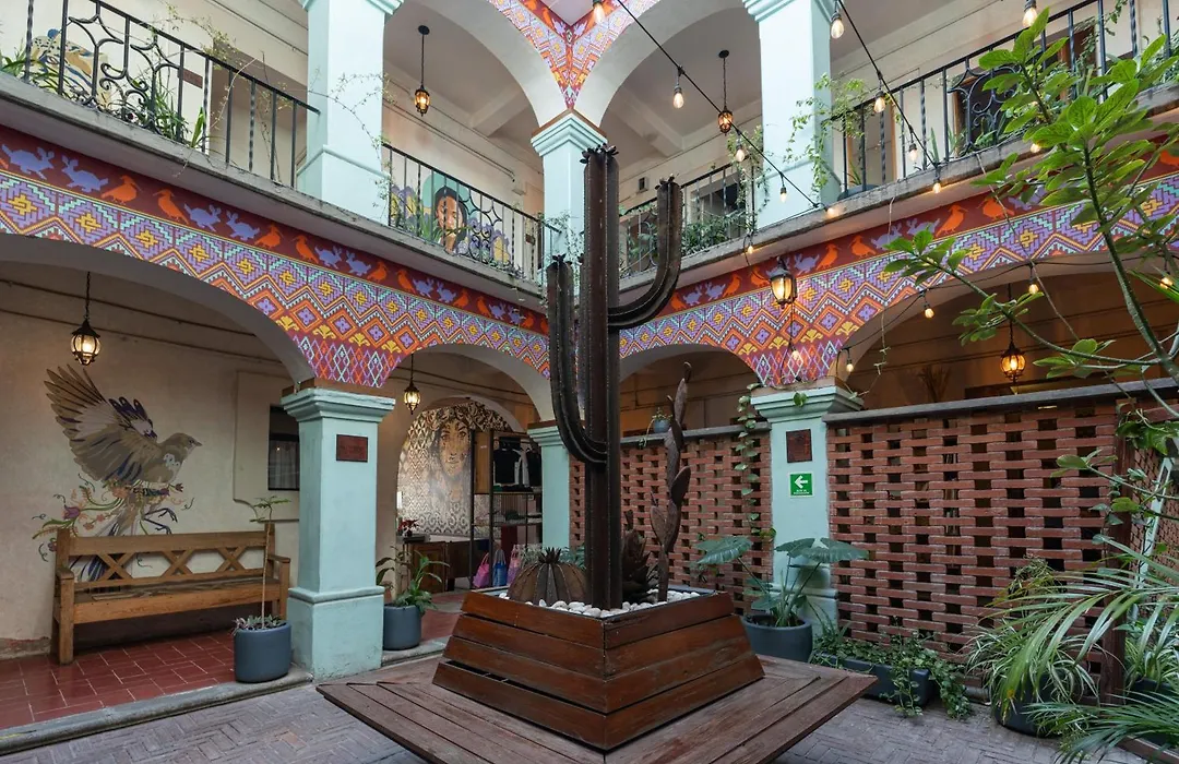 Selina Oaxaca-1