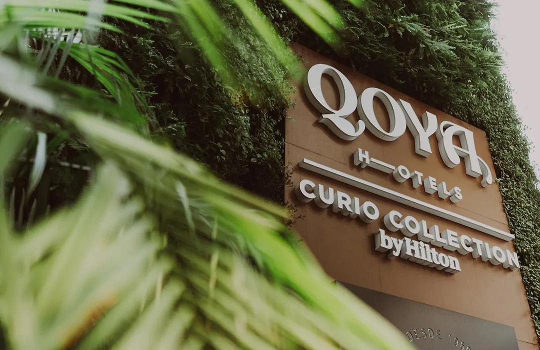 Qoya Sao Paulo Paulista, Curio Collection By Hilton-1