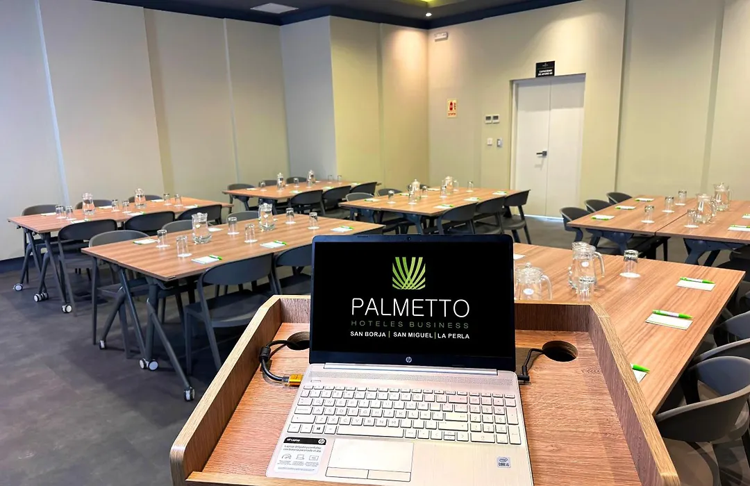 Palmetto Hotel Business San Miguel-1