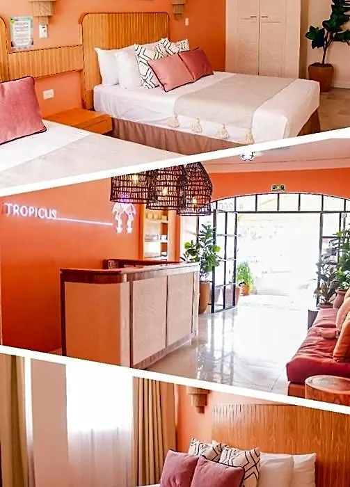 Hotel Tropicus Boutique-1
