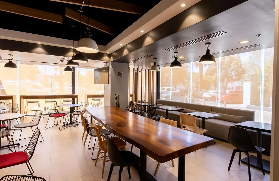 Ibis Tijuana-1