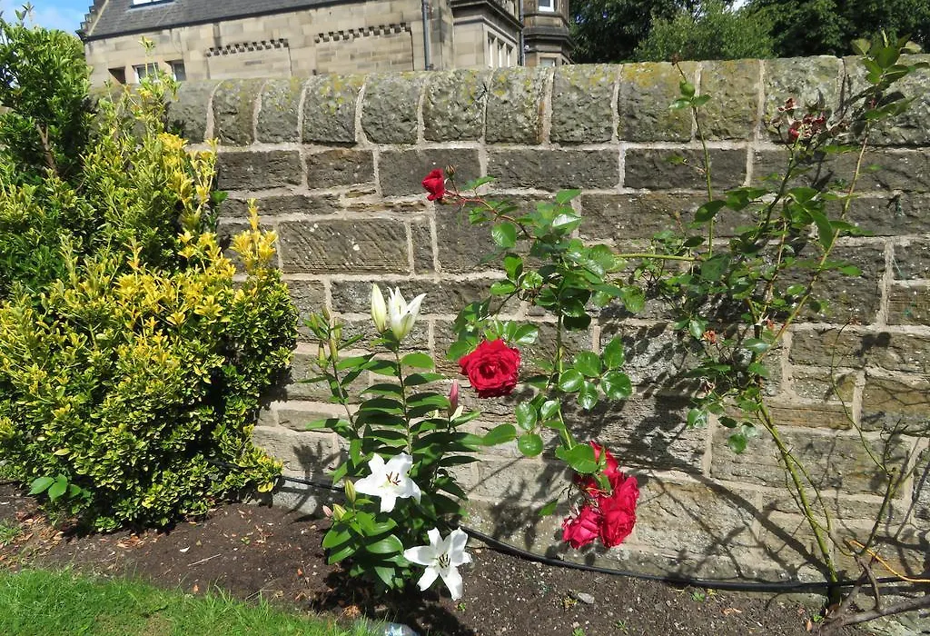 Duthus Lodge Guest House-1