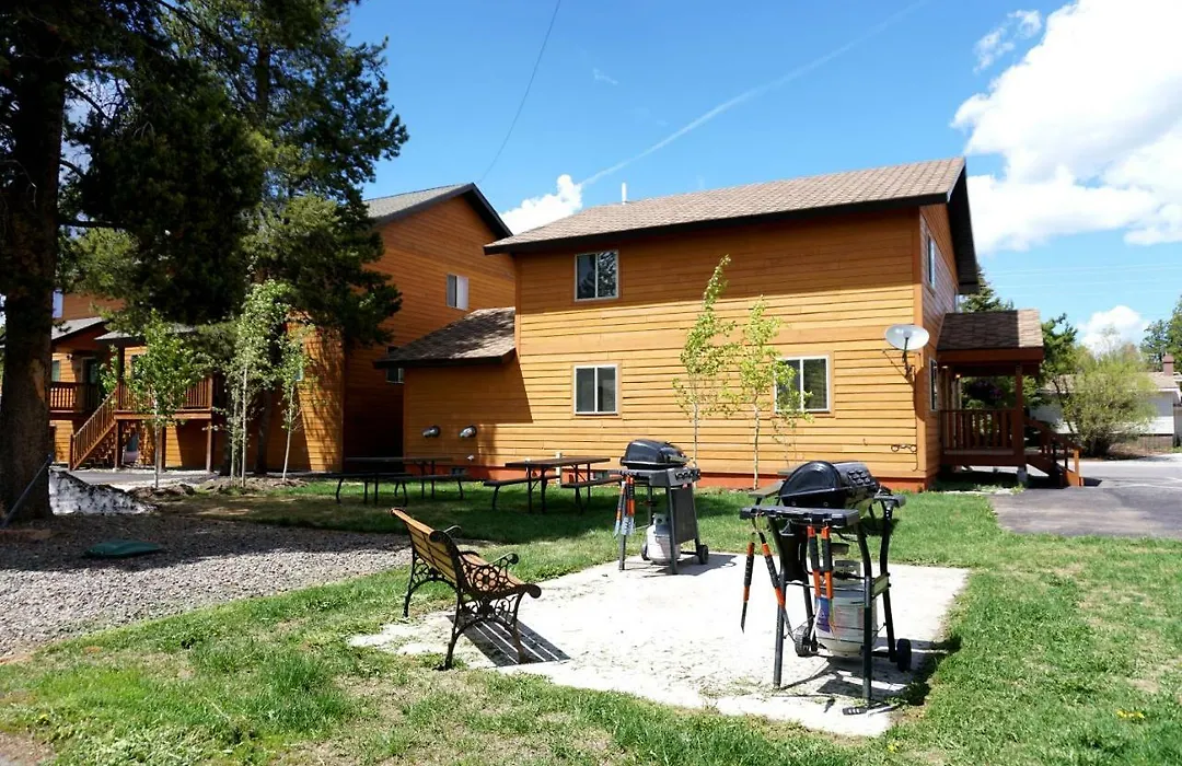 The Aspen-1