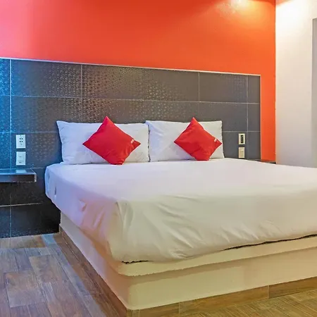 Hotel Sr92 Adults Only-3