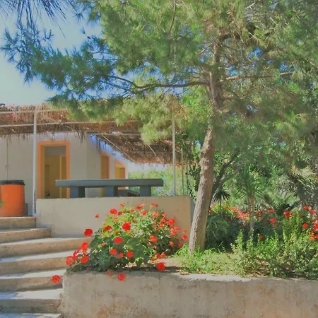 Santorini Camping & Hostel-2