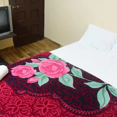 Hotel Parag-2