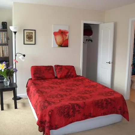Cascade Comfort-2