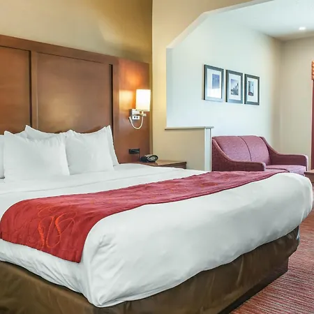 Comfort Suites Columbus Expo Center-3