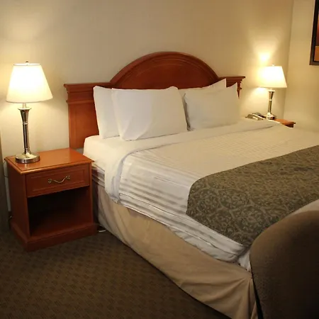 Ramada By Wyndham Edmonton South-3