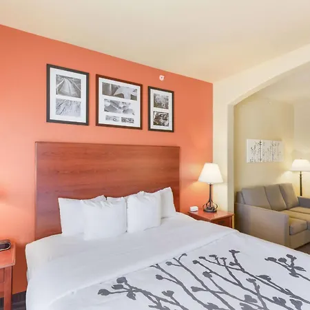 Sleep Inn & Suites Midland West-3