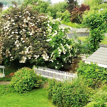 Balally House-3