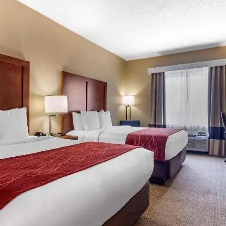 Comfort Inn Dfw Airport North-2