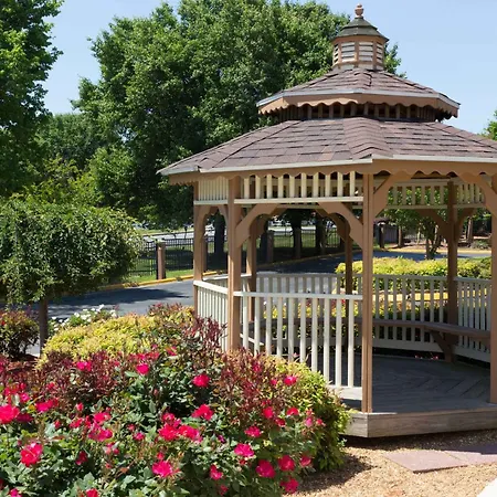 Rodeway Inn Charlotte Airport Area-2