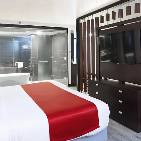 D Sabana Hotel San Jose-3